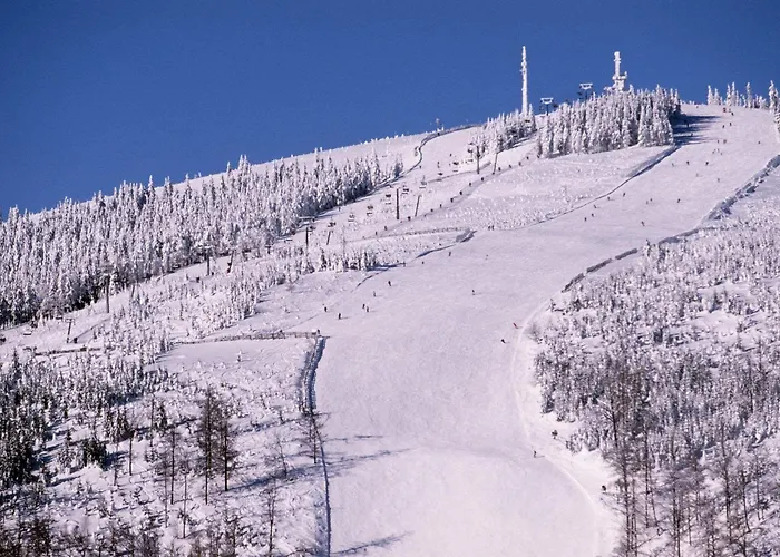 Hotel Tri Ruze Špindlerŭv Mlýn